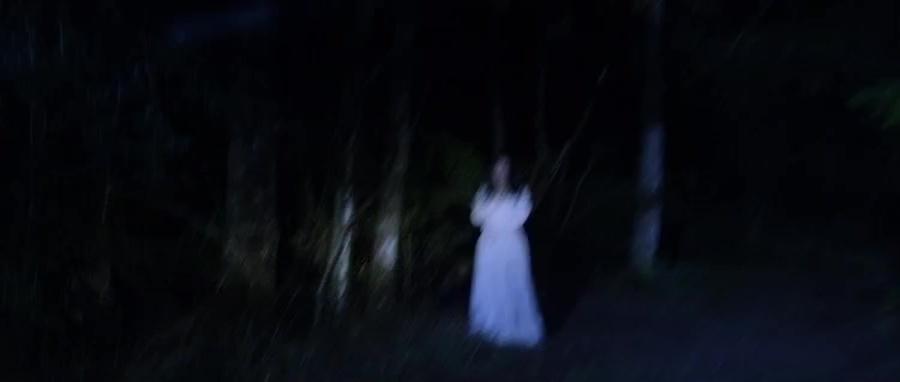 The_Haunting_in_Connecticut_2__Ghosts_of_Georgia01825.jpg