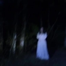 The_Haunting_in_Connecticut_2__Ghosts_of_Georgia01825.jpg