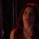 oth3x2101845.jpg