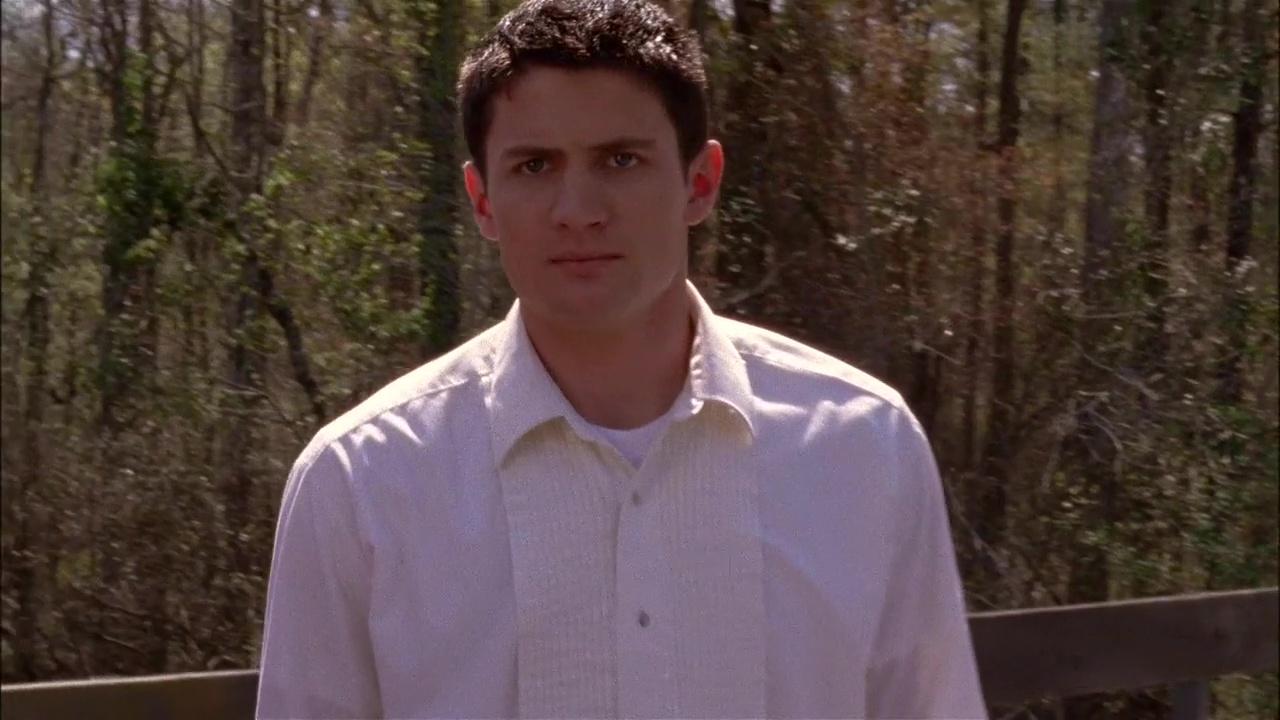 oth3x2203407.jpg