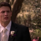 oth3x2200800.jpg