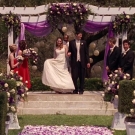 oth3x2201376.jpg