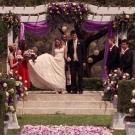 oth3x2201377.jpg