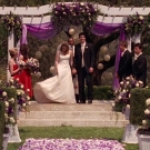 oth3x2201378.jpg