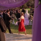 oth3x2201398.jpg