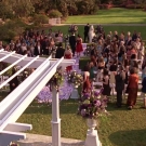 oth3x2201406.jpg