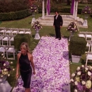 oth3x2201431.jpg