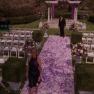 oth3x2201433.jpg