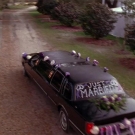 oth3x2202557.jpg