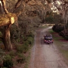 oth3x2202561.jpg