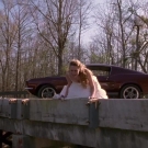 oth3x2203554.jpg