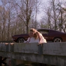 oth3x2203555.jpg