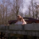 oth3x2203557.jpg