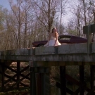 oth3x2203569.jpg