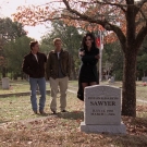 oth4x1001972.jpg