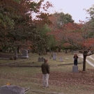 oth4x1003033.jpg