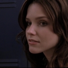 OTH4x1400644.jpg