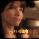 OTH4x1400896.jpg