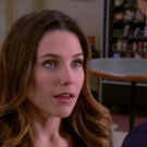 oth8x1800502.jpg