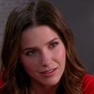 oth8x1801574.jpg