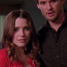 oth8x1802649.jpg