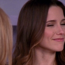 oth8x2103183.jpg
