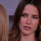 oth8x2103204.jpg