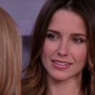 oth8x2103206.jpg