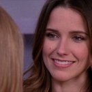 oth8x2103230.jpg