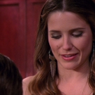 oth8x2200441.jpg