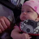 oth8x2200746.jpg