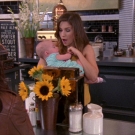 oth8x2200978.jpg