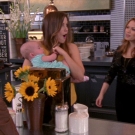 oth8x2200979.jpg