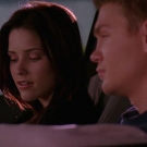 oth2x2200959.jpg