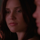 oth2x2203176.jpg