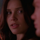 oth2x2203178.jpg