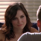 oth7x0201254.jpg