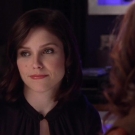 OTH6x1901318.jpg