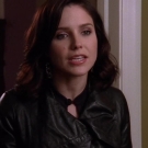 OTH6x1901930.jpg