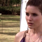 OTH6x2300645.jpg