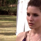 OTH6x2300646.jpg