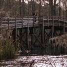 OTH6x2300911.jpg