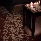 OTH6x2302814.jpg