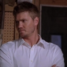 OTH6x2302829.jpg