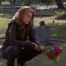 OTH5x0801427.jpg