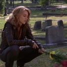 OTH5x0801437.jpg