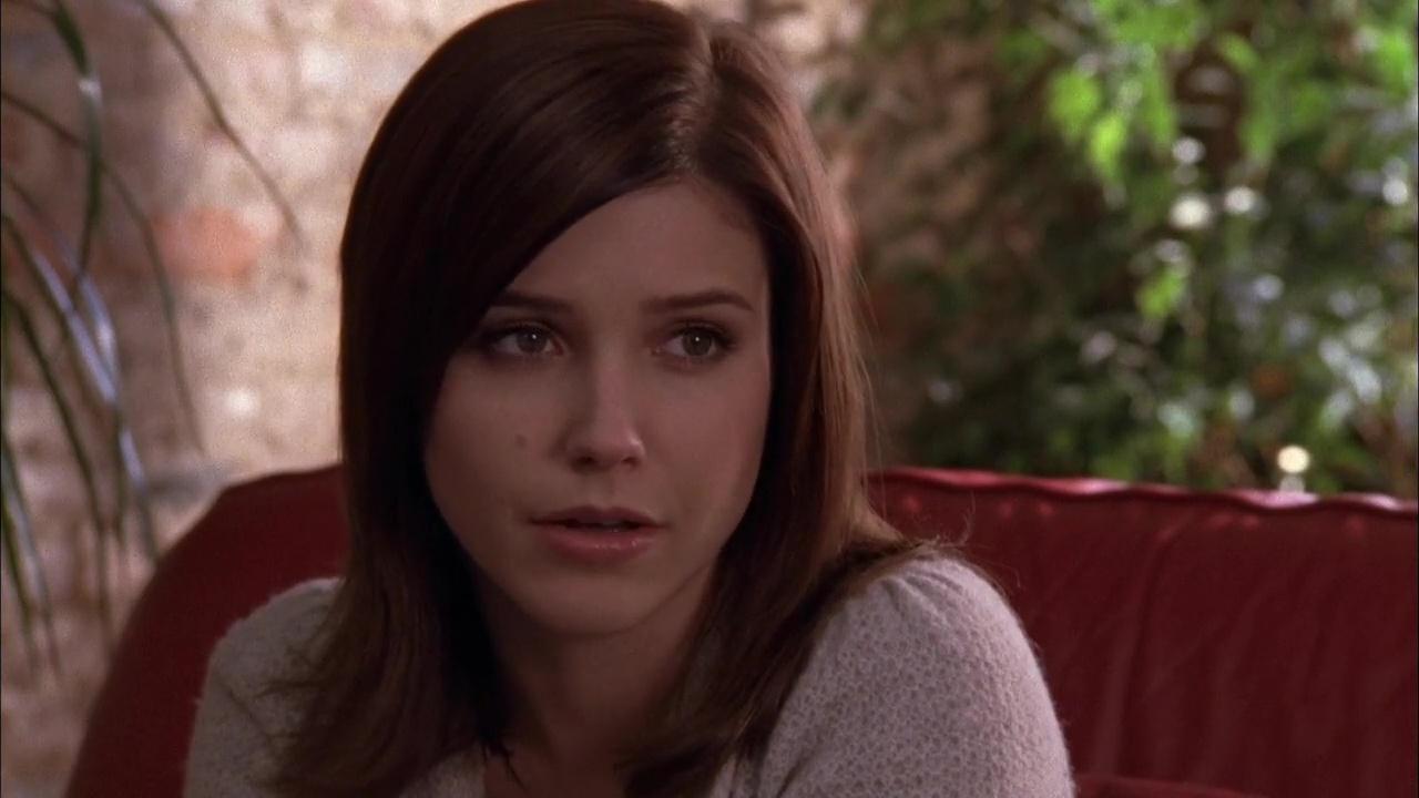 oth5x1001338.jpg