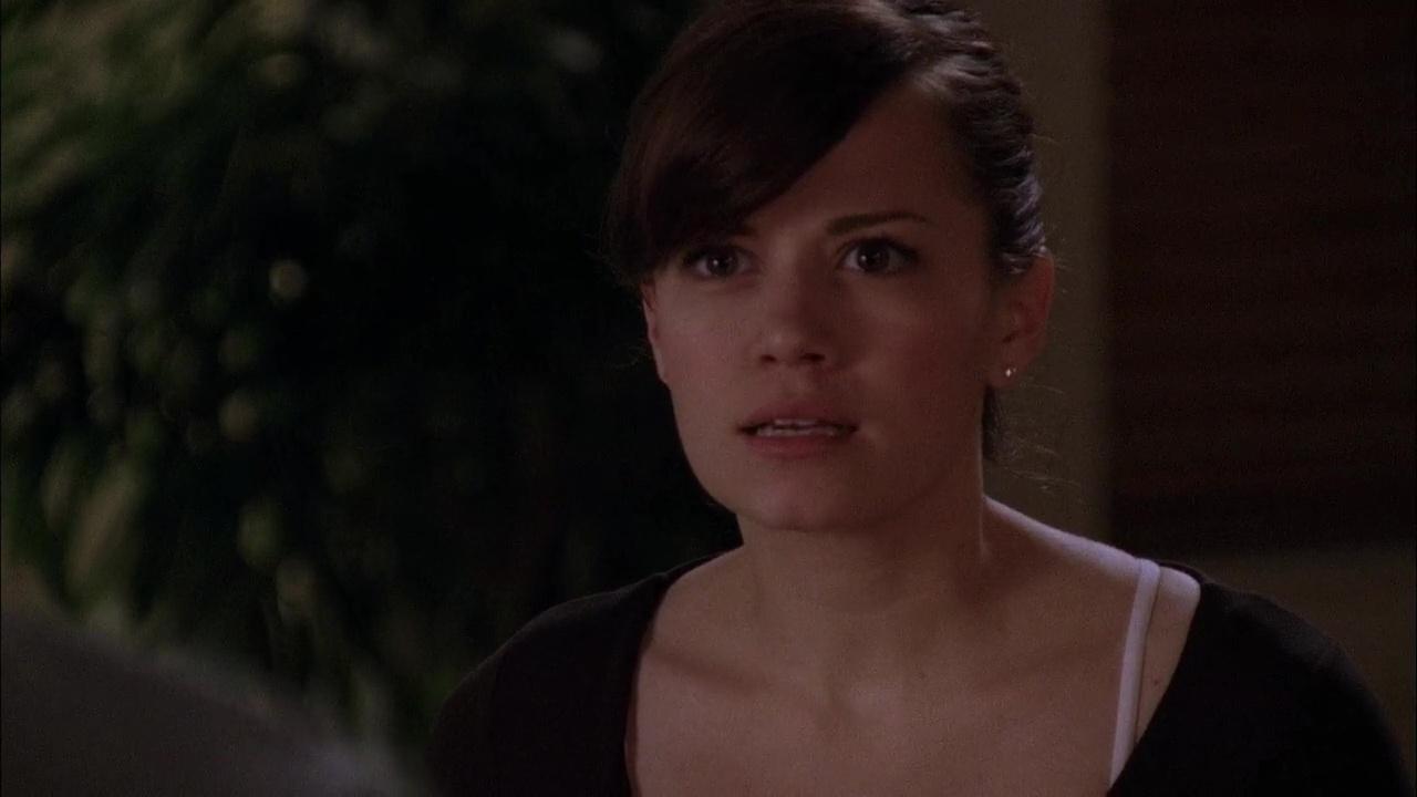 oth5x1003071.jpg