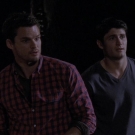 oth7x0802039.jpg